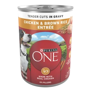 Purina ONE Chicken & Brown Rice Entrée Tender Cuts in Gravy Wet Dog Food